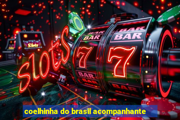 coelhinha do brasil acompanhante